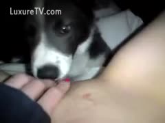 Eighteen year old newcomer engaging in beastiality with a dog
